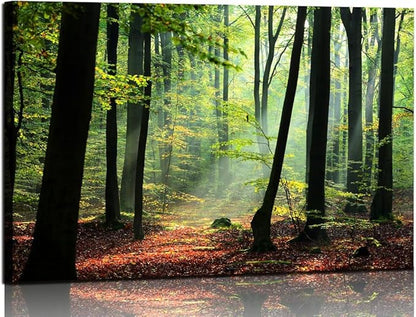 Nature Wall Art Large Forest Art Canvas Wall Decor Green Tree Canvas Print Artwork Decor for Living Room Mountain Wall Art Landscape Pictures for Bedroom Home Office Decorations (32x48inches)