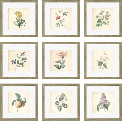 12x12 Picture Frame Set of 9, Display Pictures 8x8 with Mat or 12x12 without Mat, Multi Collage Gallery Square Photo Frames for Wall or Tabletop, Rustic Brown