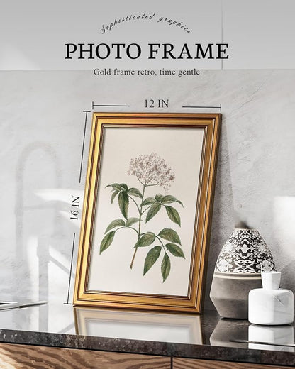 VIYYIEA Vintage Botanical Wall Art Decor for Dining Living Room Hallway, Aesthetic Classic Floral Elderberry Herb Pictures,12x16inch,Gold Framed Canvas Prints Paintings