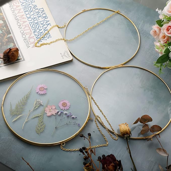 Qunclay 4 Pcs Double Glass Frame for Pressed Flowers Round Hanging Herbarium Floating Flower Press Frame Clear DIY Vintage Artwork Display holder