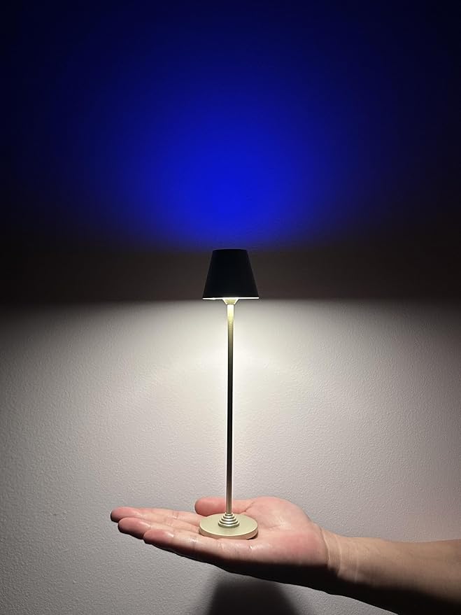 Timjorman RGB Palm-Sized Cordless Table Lamp, Rechargeable Touch Metal Bedside Lamp, 3 Brightness 3000K Warm Light, Small Table Lamp for Bedroom, Restaurant, Patio, Camping (Champagne Gold 1 Pack)