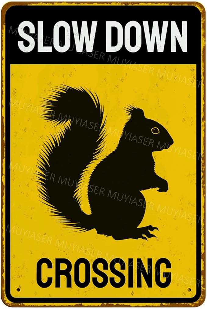 Metal Sign Squirrel Slow Down Crossing Sign Aluminum Metal Tin Signs Warning Sign For Fence Outdoor Yard Wall Decor 8x12 Inch