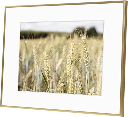 Golden State Art, Gallery Wall Frame Set of 6 - Gold 16x20 Aluminum Photo Frames with Mat for 11x14 Pictures - 16 x 20 inch Metal Frame with Real Glass Cover - Elegant Home or Office Decor