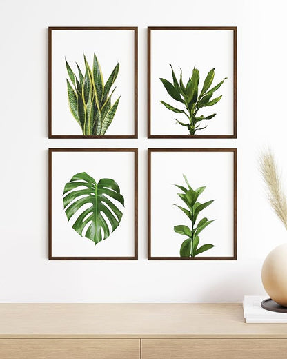 HAUS AND HUES Plant Photo Set of 4-16x20 Framed Walnut