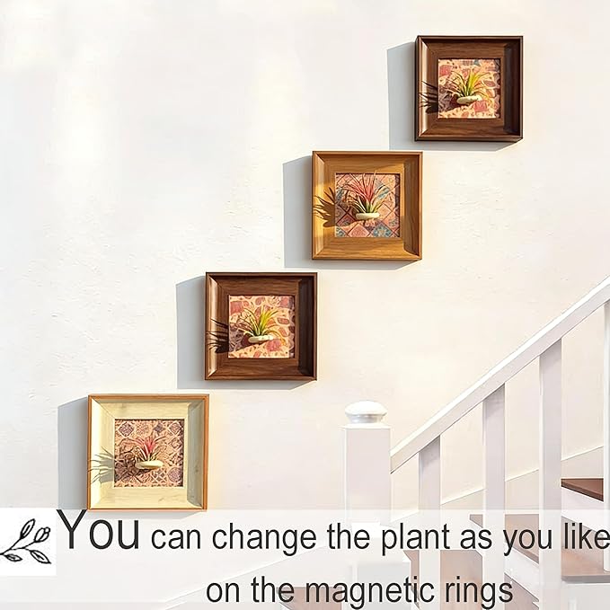 Set of 4 Boho Painting & Air Plant Living Holder Wall Art Prints 2-in-1, DIY 3D Magnetic Textured Airplant Stand Frames, Bohemia Hanging Photoes, Home Pictures Decor for Living Room Bedroom Entryway