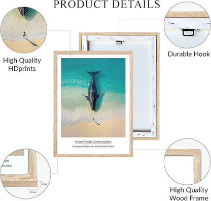 Framed Nautical Bathroom Wall Art Decor Blue Coastal Ocean Landscape Painting Print Artwork Whale Tail on Surface Picture for Modern Bedroom Kitchen Kids Room Home Decor 12"x16"x2 Pcs