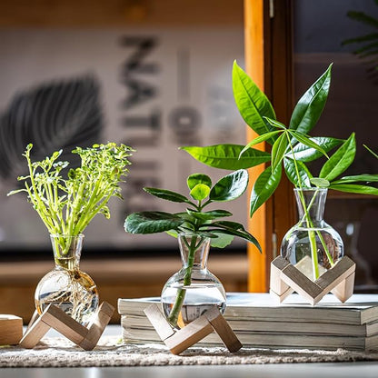 Propagation Stations, Propagation vases with Wooden Stand, Small Tabletop Glass Bulb Vases for Hydroponics Plant Propagation Station Home Office Decoration, Gift for Women Plant Lovers (6)