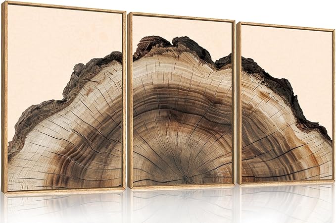 KAIRNE Vintage Tree Rings Framed Canvas Wall Art Set, Retro Wood Stump Wall Decor, Neutral Tree Spiral Art Prints, Modern Annual Ring Artwork for Living Room, Bedroom, Farmhouse, Office-24 x36 x3