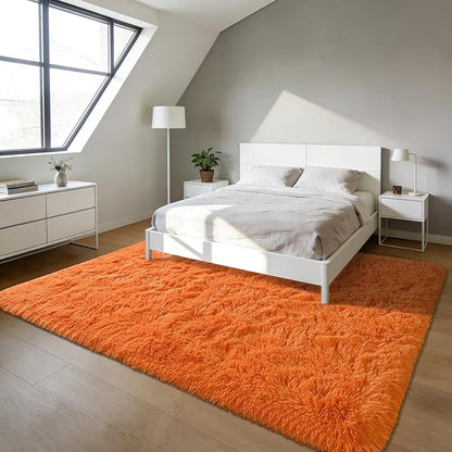 Andecor Shag Area Rug for Living Room, 4x6 Feet Orange Soft Fluffy Indoor Plush Throw Rugs for Bedroom Girls Kids Room Nursery Dorm Home Decor Carpet