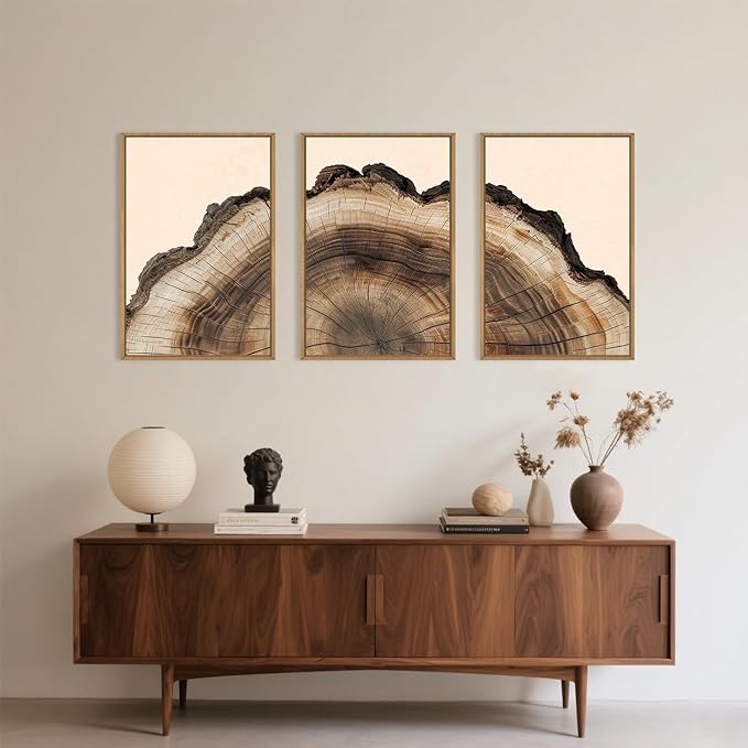KAIRNE Vintage Tree Rings Framed Canvas Wall Art Set, Retro Wood Stump Wall Decor, Neutral Tree Spiral Art Prints, Modern Annual Ring Artwork for Living Room, Bedroom, Farmhouse, Office-24 x36 x3
