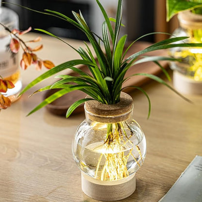 Propagation Stations, Plant Propagation Station with Light Base, Glass Propagation Vases, Hydroponic Vase for Plants, Glass Terrarium for Home Office Windowsill Tabletop Decoration (3)