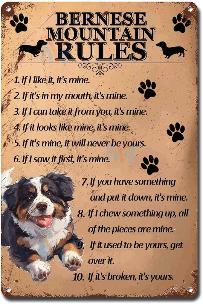 Metal Sign Tin Sign Vintage Wall Art Bernese Mountain Rules Outhouse Wall Decor for Restaurant 12×16 Inches