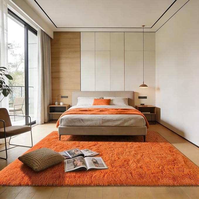 Andecor Shag Area Rug for Living Room, 4x6 Feet Orange Soft Fluffy Indoor Plush Throw Rugs for Bedroom Girls Kids Room Nursery Dorm Home Decor Carpet