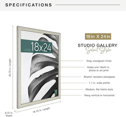 MCS Studio Gallery 18x24 Poster Frame Gray Woodgrain Engineered Wood, Vertical & Horizontal Wall Hanging Large Picture Frame for Photos, Posters & Art Prints (1-Pack)