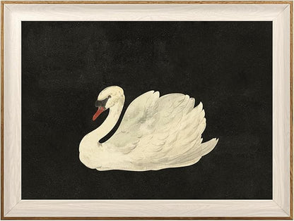 ASTRDECOR Vintage Framed Wall Art for Living Room, Vintage Swan Canvas Oil Painting for Bathroom Wall Decor, Classical Animal Framed Art for Home Decor Aesthetic, Zwaan Black and White Wall Art Prints for Bedroom Decor-12''x16''