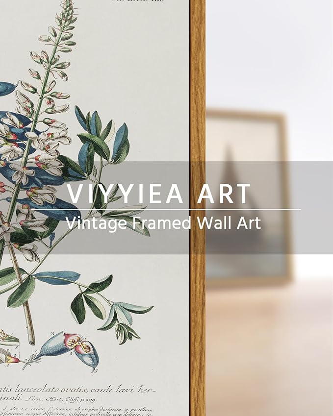 VIYYIEA Vintage Botanical Herb Wall Art, Flowers Seeds Paingtings Wall Decor Aesthetic, Framed Canvas Print Artwork, Floral Wall Pictures for Bedroom Bathroom, 8x10 Inch, Herbal Illustrations