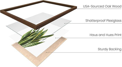 HAUS AND HUES Plant Photo Set of 4-16x20 Framed Walnut