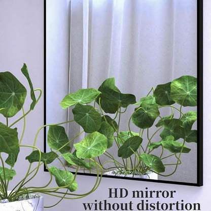 ANYHI Over The Door Mirror, 42"x14" Door Mirror Full Length, 2 Hooks, Over The Door or Wall Monuted, Aluminum Frame, for Bedroom Bathroom Checkroom, Black