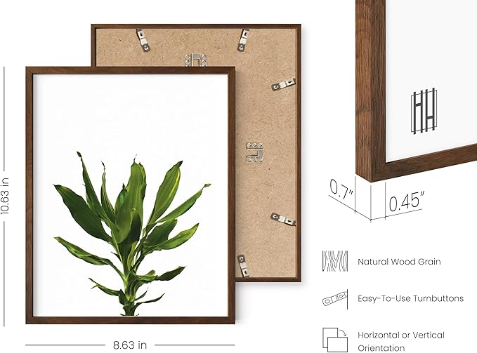 HAUS AND HUES Plant Wall Art - Set of 4 Botanical Prints, Sage Green Leaf Decor, Minimalist Plant Pictures for Wall (Walnut Frame, 8x10)