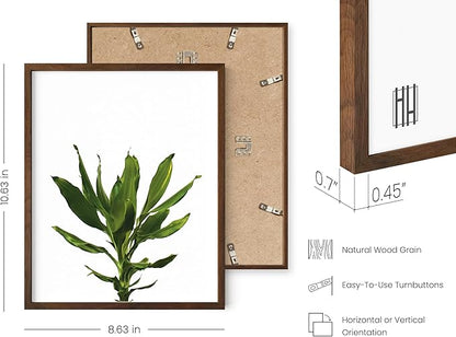 HAUS AND HUES Plant Wall Art - Set of 4 Botanical Prints, Sage Green Leaf Decor, Minimalist Plant Pictures for Wall (Walnut Frame, 8x10)
