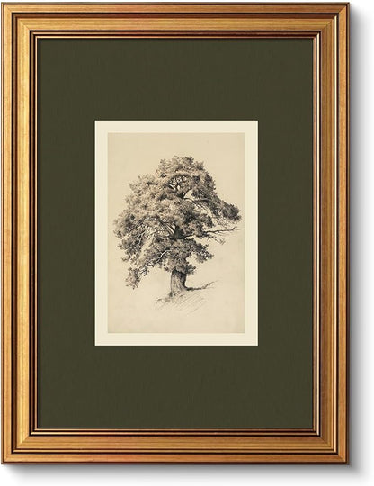 VIYYIEA Vintage Botanical Sketch Rustic Wall Art Decor for Living Room Bedroom Study Library, Aesthetic Classical Oak Tree Illustration Nature Pictures,12x16inch,Gold Framed Canvas Prints Paintings