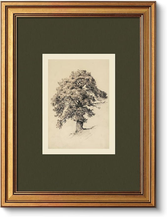 VIYYIEA Vintage Botanical Sketch Rustic Wall Art Decor for Living Room Bedroom Study Library, Aesthetic Classical Oak Tree Illustration Nature Pictures,12x16inch,Gold Framed Canvas Prints Paintings