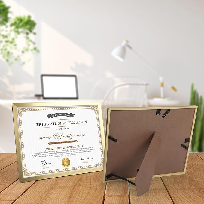 Hoikwo 14 Packs 8.5x11 Gold Multi Plastic Picture Frames Set with Plastic Cover, Certificate Frames for Document Diploma Award, Light Weight Bulk 8.5 by 11 Frames Pack for Wall Hanging and Table