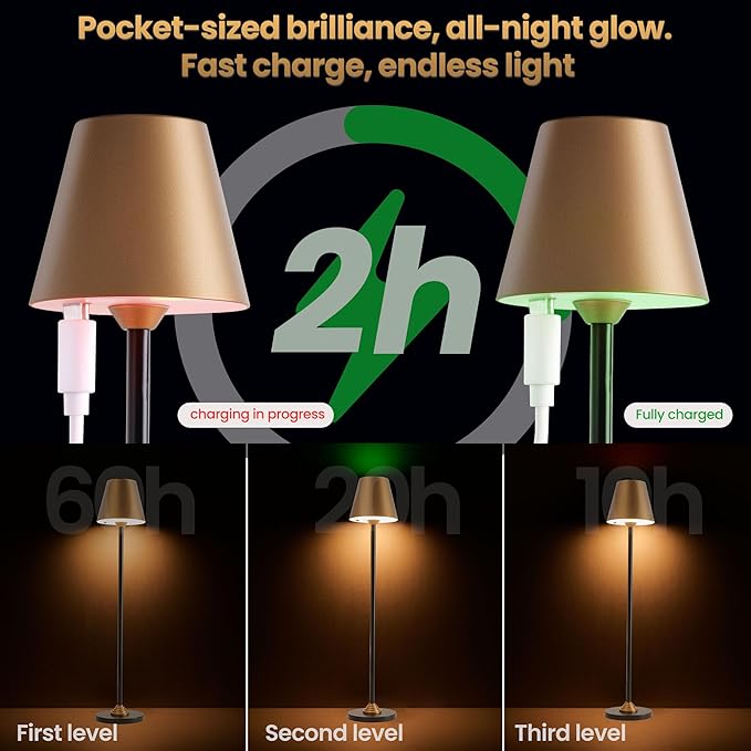 Timjorman RGB Palm-Sized Cordless Table Lamp, Rechargeable Touch Metal Bedside Lamp, 3 Brightness 3000K Warm Light, Small Table Lamp for Bedroom, Restaurant, Patio, Camping (Antique Brass&Black 1PACK)