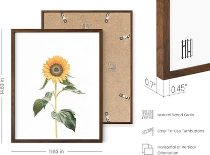 HAUS AND HUES Sunflower Wall Decor - Set of 4 Framed Sunflower Art Prints, Yellow Wall Art for Kitchen or Bedroom, Vintage Flower Paintings (Walnut Frame, 11x14)