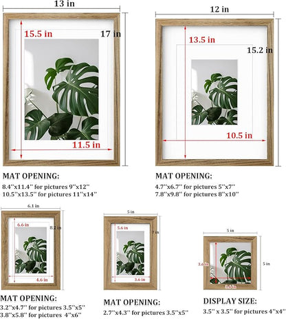 Egofine Picture Frame Set - 10 Assorted Sizes, Collage Wall Decor with 12x16, 11x14, 5x7, 4x6, 4x4 Frames for Wall & Tabletop, Solid Wood, Plexiglass Cover, Carbonized Brown