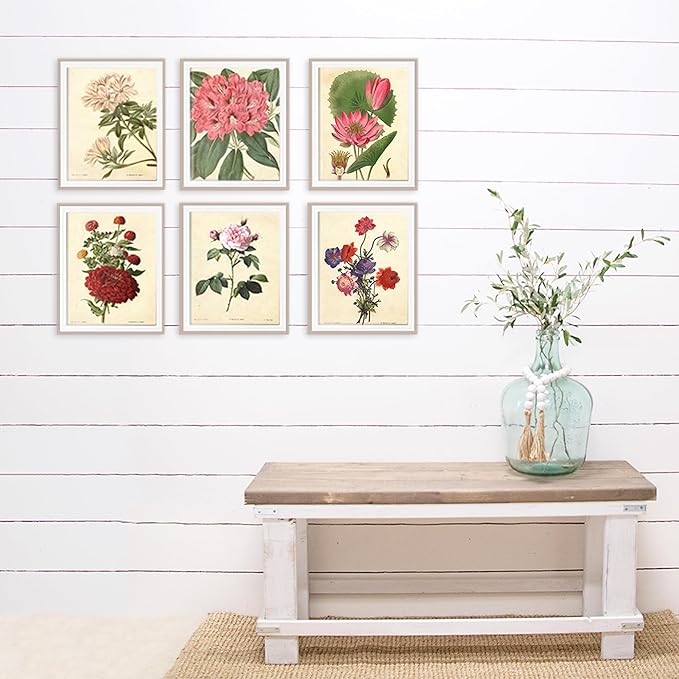 Vintage Botanical Flowers Art Prints (Set of 6) - Unframed - 8x10s | Charming and Classic Floral Decor for Your Home | Living Room Wall Decor | Vintage Wall Art | Vintage Wall Decor | Office Decor