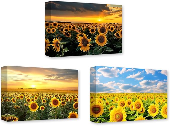 CCWACPP Sunflower Canvas Wall Art 3 Panels Sunflower Floral Field Sunset Pictures Yellow Flower Print Painting Large Living Room Decor Frame (Sunflower - 2, 24x36inchx3Pcs)
