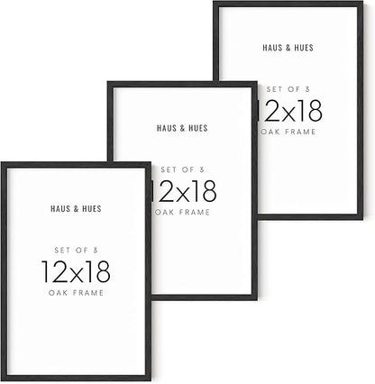 HAUS AND HUES 12x18 Black Oak Frame Set of 3 - Poster Display for Wall Art & Collage
