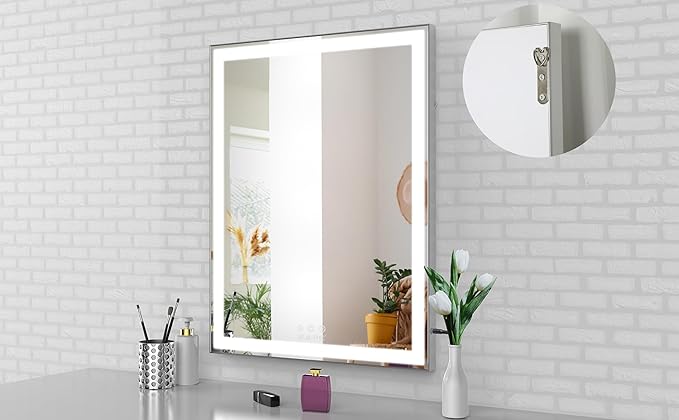 ANYHI Vanity Mirror with Lights, 22.4" x 28.1" Tabletop Vanity Mirror with Lights and Stand, 3 Color Modes, 10X Magnification, Smart Touch Control, Wall Mounted/Desk Mirror for Bedroom Makeup, Silver