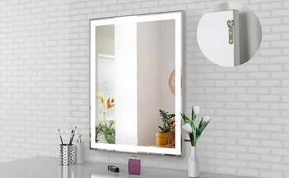ANYHI Vanity Mirror with Lights, 22.4" x 28.1" Tabletop Vanity Mirror with Lights and Stand, 3 Color Modes, 10X Magnification, Smart Touch Control, Wall Mounted/Desk Mirror for Bedroom Makeup, Silver