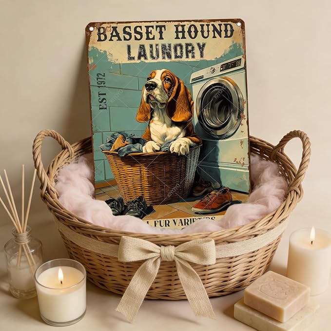 Retro Metal Poster Basset Hound Laundry Wash And Dry Metal Tin Signs Vintage Plaque Wall Decor Gift for Office Club Bar Home Kitchen 16x12 Inch