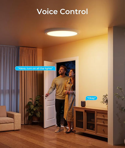 DeckTok 12 Inch Smart Ceiling Light, 2400LM RGBCW LED Flush Mount Ceiling Light Work with App & Voice Control, 2700K-6500K Dimmable LED Ceiling Light Fixture for Living Room Bedroom Game Room, 1 Pack