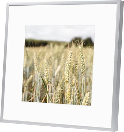 Golden State Art, Gallery Wall Frame Set of 6 - Silver 12x12 Aluminum Photo Frames with Mat for 8x8 Pictures - 12 x 12 inch Metal Frame with Real Glass Cover - Elegant Home or Office Decor