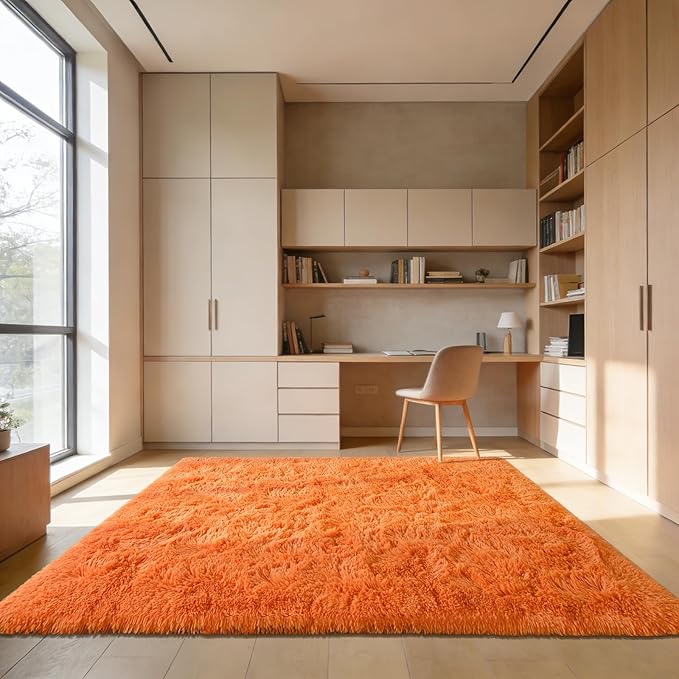 Andecor Shag Area Rug for Living Room, 5x8 Feet Orange Soft Fluffy Indoor Plush Throw Rugs for Bedroom Girls Kids Room Nursery Dorm Home Decor Carpet