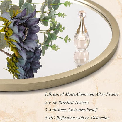AOAOPQ Mirror Wall for Bathroom Metal Brushed Frame Wall Mounted Home Living Room Entryway Bedroom Bronze