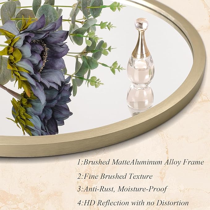 AOAOPQ Mirror Wall for Bathroom Metal Brushed Frame Ative Wall Mounted Home Living Room Entryway Bedroom Bronze