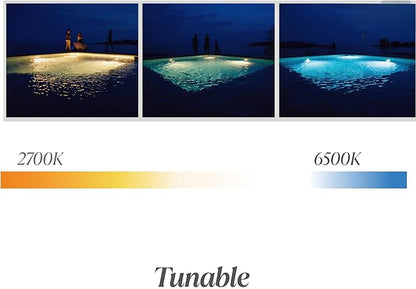 LED Spa Pool Lights for Inground Pool, 6 Inch Smart Remote Control, White and Color Changing, Compatible with Alexa and Google, Premium Pool Light Kit (50ft Cord)