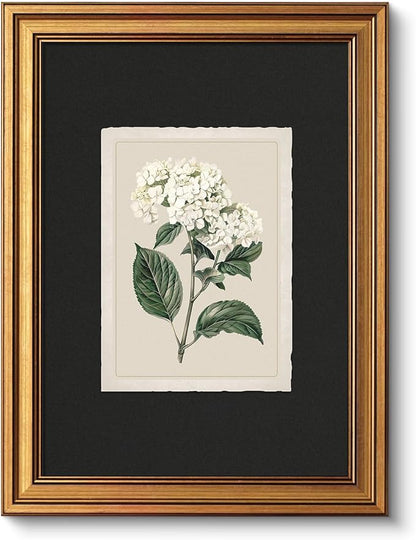 VIYYIEA Vintage Gold Framed Wall Art Print Home Decor, White Hydrangea Painting Canvas Prints, Aesthetic Farmhouse Flower Prints Decoration Bedroom Bathroom Wall Decor Kitchen Office, 12x16inch