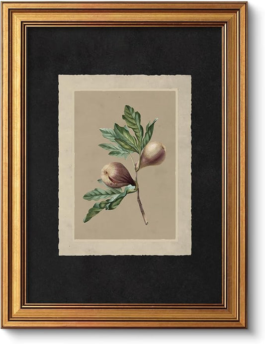 VIYYIEA Vintage Gold Framed Wall Art, Fig tree Painting Prints, Vintage Farmhouse Decor for kitchen, Minimalist Canvas Moody Fruit for Bathroom Bedroom Gallery, 12x16inch