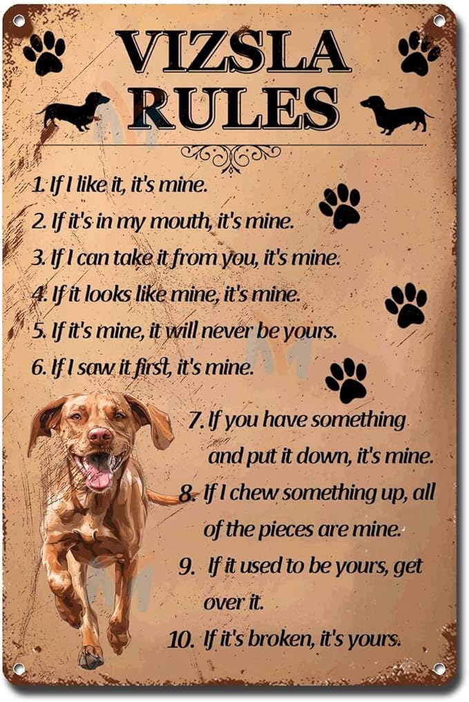 Metal Sign Tin Sign Vintage Wall Art Vizsla Rules Bar Sign for Restaurant 6×8 Inches