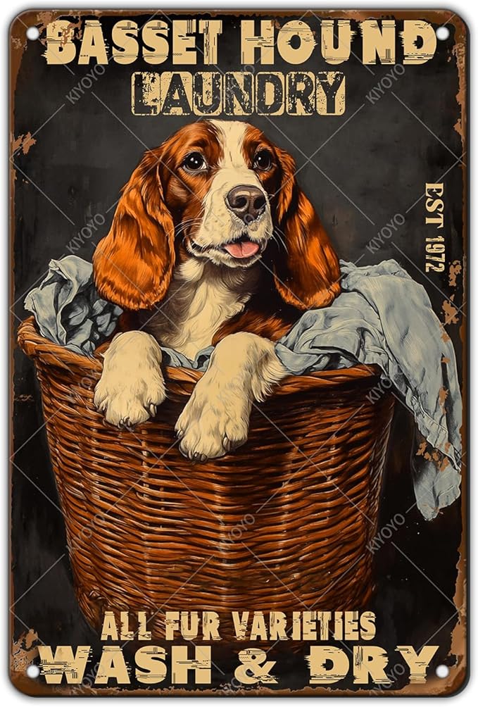 Retro Metal Poster Basset Hound Laundry Wash And Dry Metal Tin Signs Vintage Plaque Wall Decor for Home Laundry room Bathroom 12x8 Inch