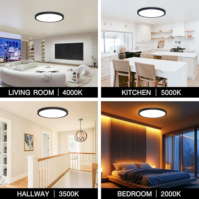 2Pack Dimmable LED Flush Mount Ceiling Light Fixture with Remote Control, 24W 2640LM, 12Inch, 2000K Warm Night Light & 3000K-6500K, Modern Super Slim Ceiling Lamp for Bedroom Kitchen, Black