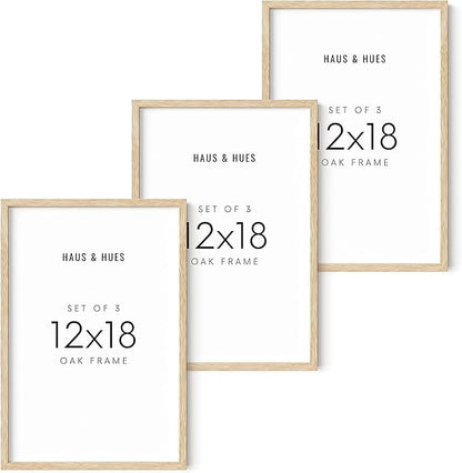 HAUS AND HUES Standalone Beige Oak Frame Set of 3-12x18