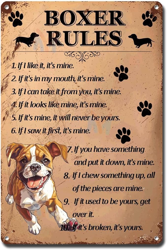 Metal Sign Tin Sign Vintage Wall Art Boxer Rules Tin Sign for Room 6×8 Inches