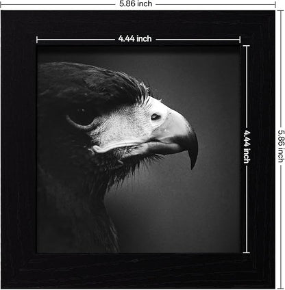 eletecpro 5x5 Picture Frames Set of 9 Classic Gallery Wall Frame Set Displays 5x5 Photo without Mat Square Picture Frames Collage Wall Decor, Black Modern Home Decor for Tabletop and Wall and Mounting